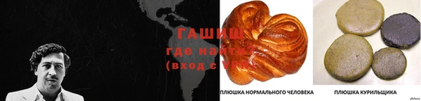 молекула духа Каменск-Шахтинский