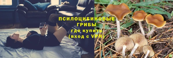 герыч Каменногорск