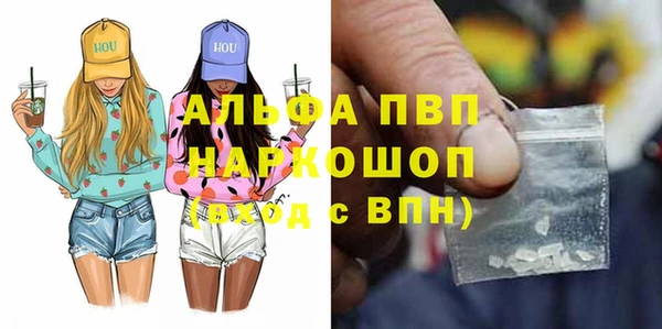 молекула духа Каменск-Шахтинский