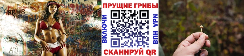 Галлюциногенные грибы MAGIC MUSHROOMS  Купить  Волосово 